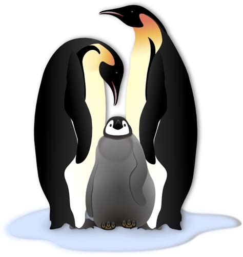 Penguin Clipart Png Clip Art Library