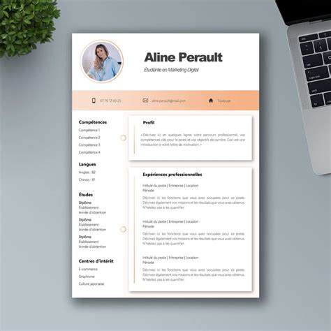 Exemples De Cv Plus De Exemples De Cv Word Design Et Original