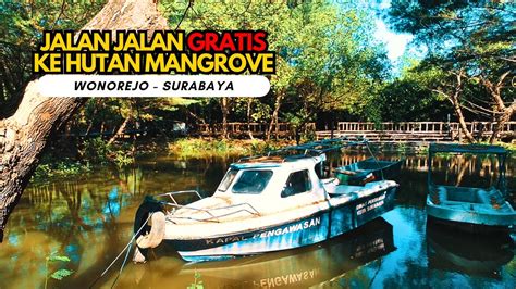 Wisata Hutan Mangrove Wonorejo Surabaya Yang Menakjubkan Youtube