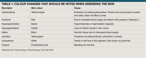 Skin Assessment And The Language Of Dermatology Skin Assessment