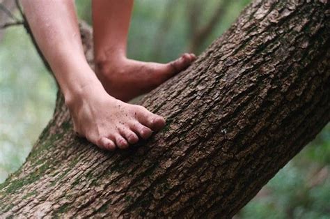 Barefoot Climbing Tree Disney Aesthetic Aesthetic The Last Airbender