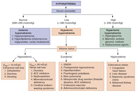 Hyponatremia System Disorder Template Web Active Learning Templates