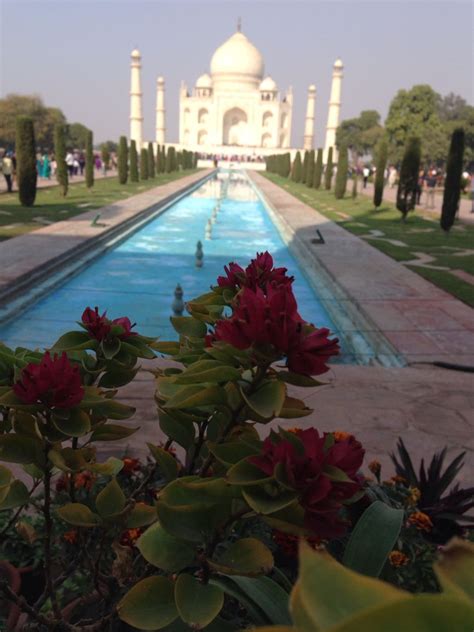 Taj Mahal In All Its Glory Northindia Agra Taj Mahal India Travel