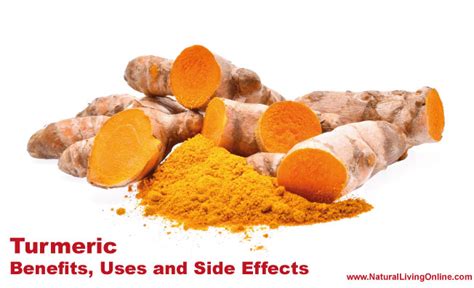 Turmeric Benefits Uses And Side Effects Natural Living