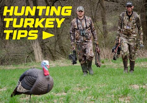 Hunting Turkey Tips Techniques For A Successful Turkey Hunt The