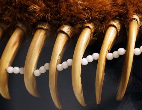 Bear Claw Necklace Pawnee Smarthistory