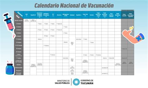Por Qué Es Importante Cumplir Con El Calendario Nacional De Vacunación