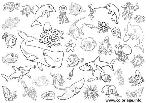 Coloriage Tous Les Animaux De La Mer Et Marin Dessin Animaux De La Mer