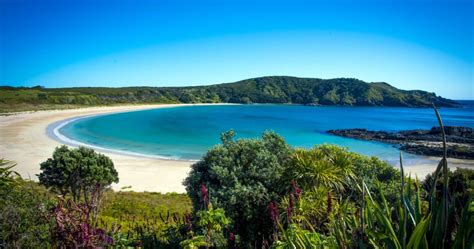 10 Most Beautiful Beaches In New Zealand Expats Holidays