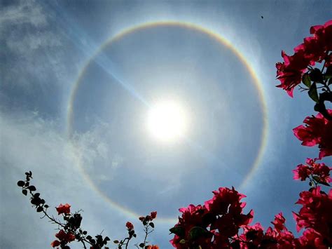ramesh pandey on twitter banglore city witnessed today a rainbow ring around sun this