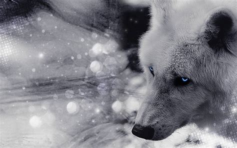 The white wolf of icicle creek mobile wallpaper: Free Wallpapers Wolves - Wallpaper Cave