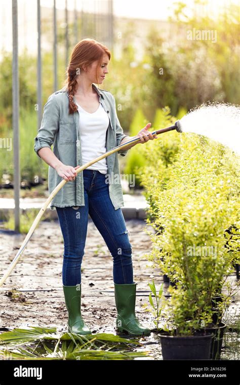 Watering Plants Hi Res Stock Photography And Images Alamy