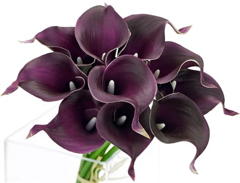 Fiveseasonstuff 10 Stems Real Touch Dark Purple Calla Lilies Etsy