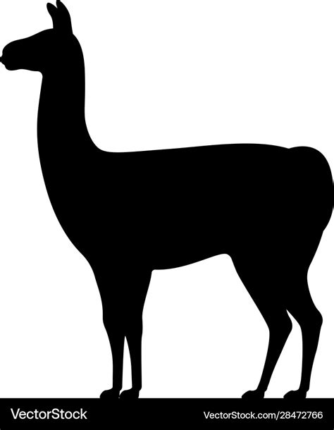 Llama Silhouette Isolated On White Royalty Free Vector Image
