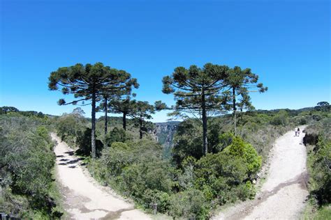 Diário de Viagem Dia 08 Cambará do Sul RS Me Leva De Leve