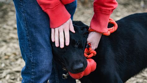 Sioux Falls Humane Society Hosting Pet Adoption Event