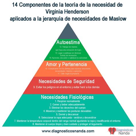 Los Componentes De Henderson Aplicados A La Jerarqu A De Necesidades