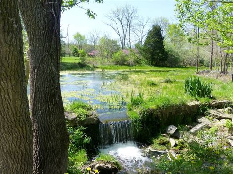 Pond With A Waterfall In The Park Free Image Download