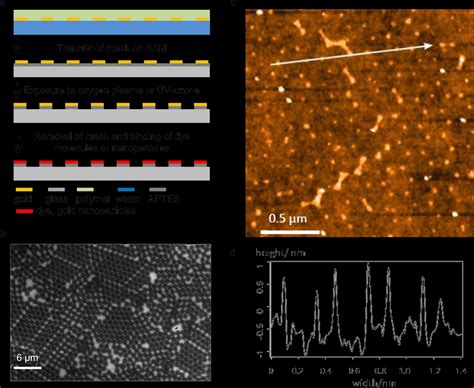 Oxygen Plasma Induced Chemical Nanostructuring Process 2 A