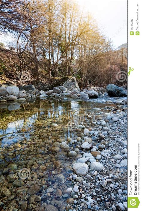 A Beautiful Landscape A Mountain River In The Spring Forest Th Stock