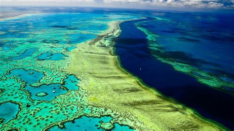 Great Barrier Reef Queensland Australia 1920x1080 Rwallpaper