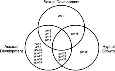 Sexual And Asexual Reproduction Venn Diagram Wiring