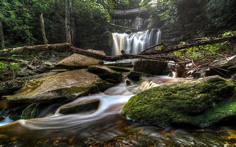 1080p Descarga Gratis Elakala Falls West Virginia Estados Unidos