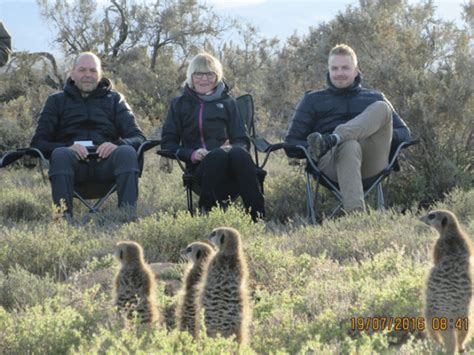 Five Shy Meerkats Oudtshoorn Western Cape