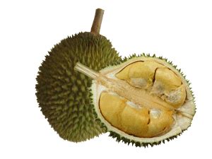 Durian Artikel Sudarminto Setyo Yuwono