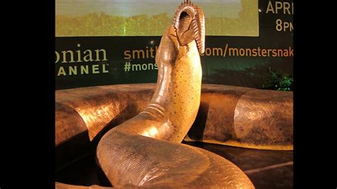Titanoboa 45 Foot Long Prehistoric Snake Amazes Nyc Fox News