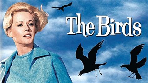 the birds 1963 film review reelrundown