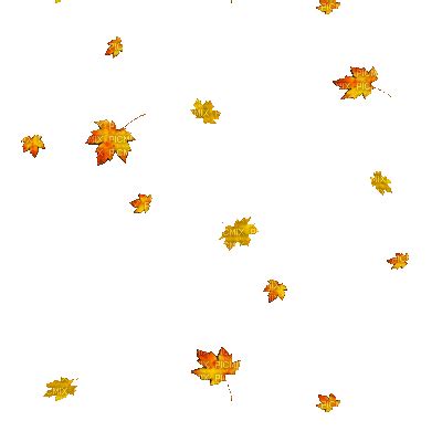 Falling Leaves Gif Transparent