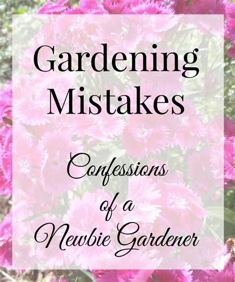 Gardening Mistakes Confessions Of Newbie Gardener Dengarden