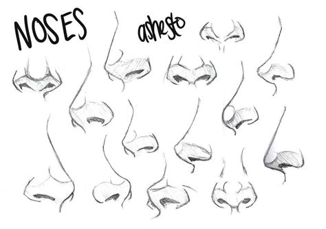 The Stages Of Nose Shapes And How To Draw Them