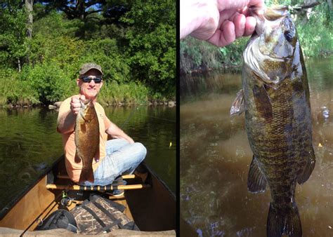How To Catch Smallmouth Bass In Rivers And Streams All Summer Field