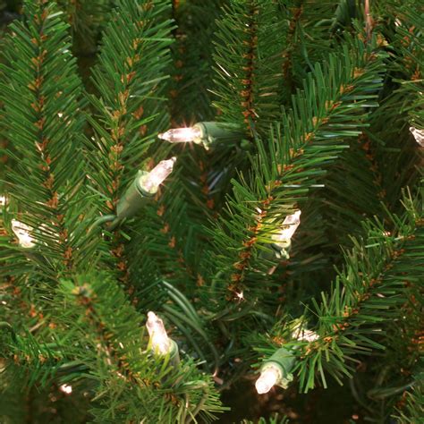 The cones are eaten by red squirrels. Norway Spruce Prelit Tree - Christmas Lights, Etc