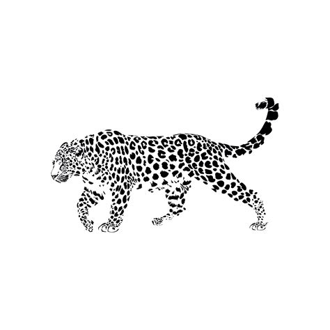 Leopard Svg Animal Svg Files For Cricut Wild Dxf Cut File Etsy