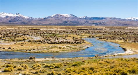 Conoce Las 8 Regiones Naturales Del Perú Región Puna Aprendo En Casa