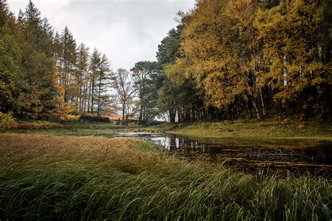 Images United Kingdom Glenridding Autumn Nature Lake Trees