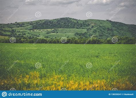 Panoramic View Of Beautiful Landscape Fresh Green Meadows Blooming