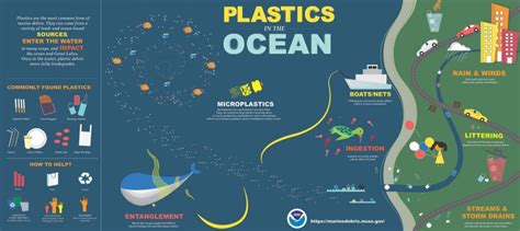 Cleaning The Oceans Pollution Solutions ⋆ The Mindful Soul Center Tmsc