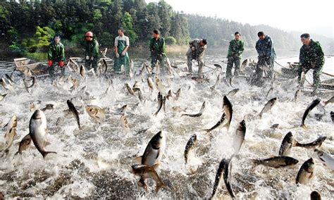 Extreme Fishing Chinese Style Flying Fish Leap Straight Into The