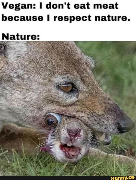 Vegan Dont Eat Meat Because Respect Nature Nature Ifunny Brazil