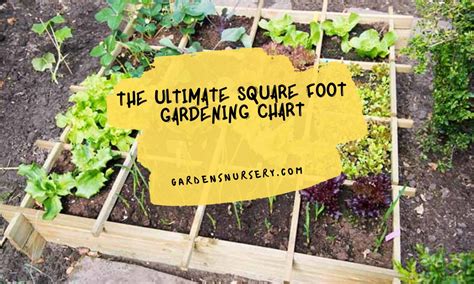 The Ultimate Square Foot Gardening Chart Gardens Nursery