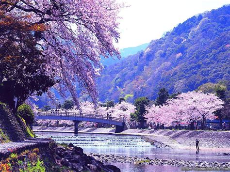 Japanese Nature Wallpapers All New Wallpaper