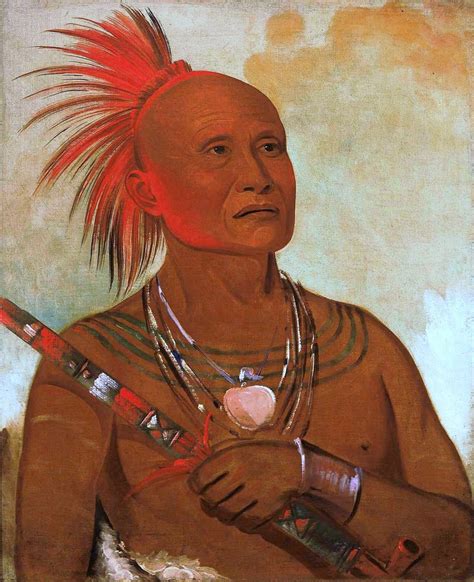 Pam a hó The Swimmer One of Black Hawk s Warriors by George Catlin