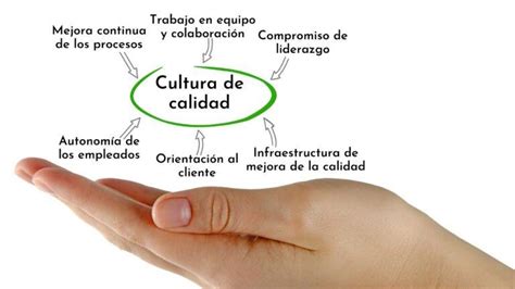 Cultura De Calidad Características Definición Desarrollo Ejemplos