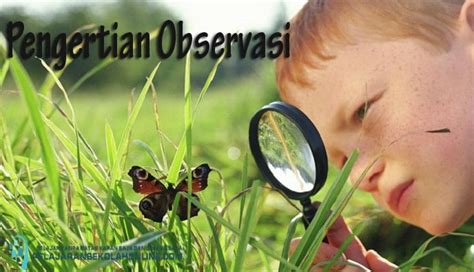 17 Pengertian Observasi Dan Jenis Jenis Observasi Menurut Pendapat Para