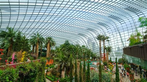 Gardens by the Bay Photography Tips & Best Photos • The ...