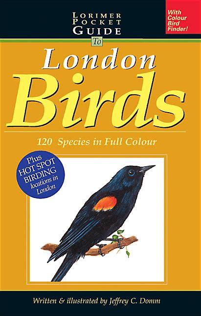 Lorimer Pocketguide To London Birds Lorimer Kids Canada